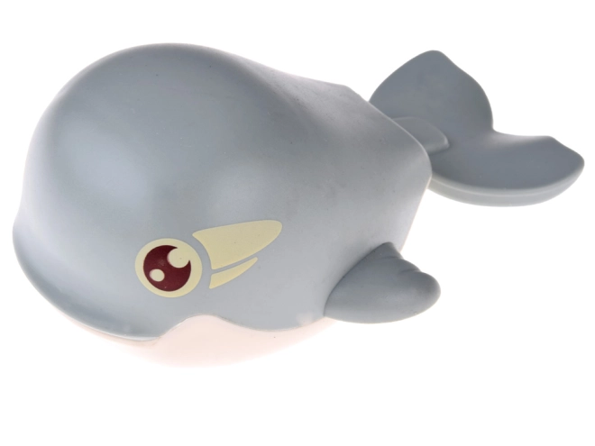 Baleine pleine de plaisir