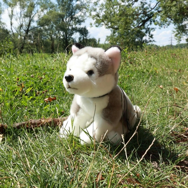 Chien en peluche Husky avec laisse 28 cm de Rappa