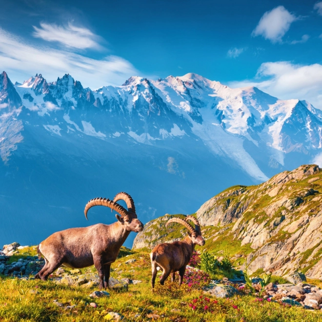 Calendrier de notes Alpes 2026