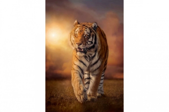 Puzzle 1000 pièces Tigre Clementoni