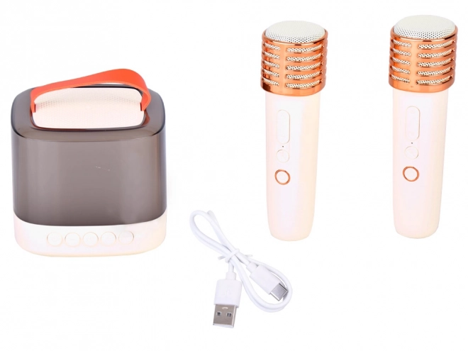 Microphone avec haut-parleur sans fil et Bluetooth
