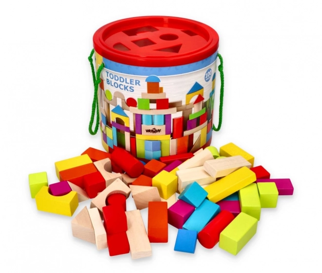 Blocs en bois colorés 100 pcs