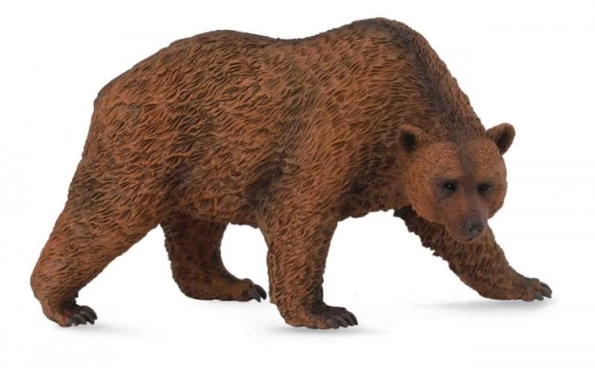 Ours brun