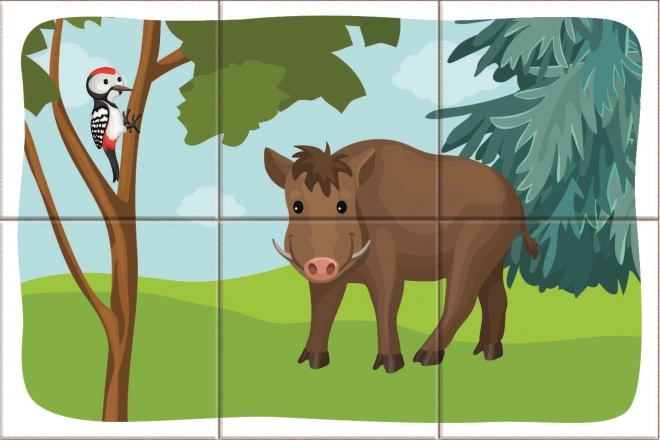 Dino Blocs de bois Animaux de la forêt
