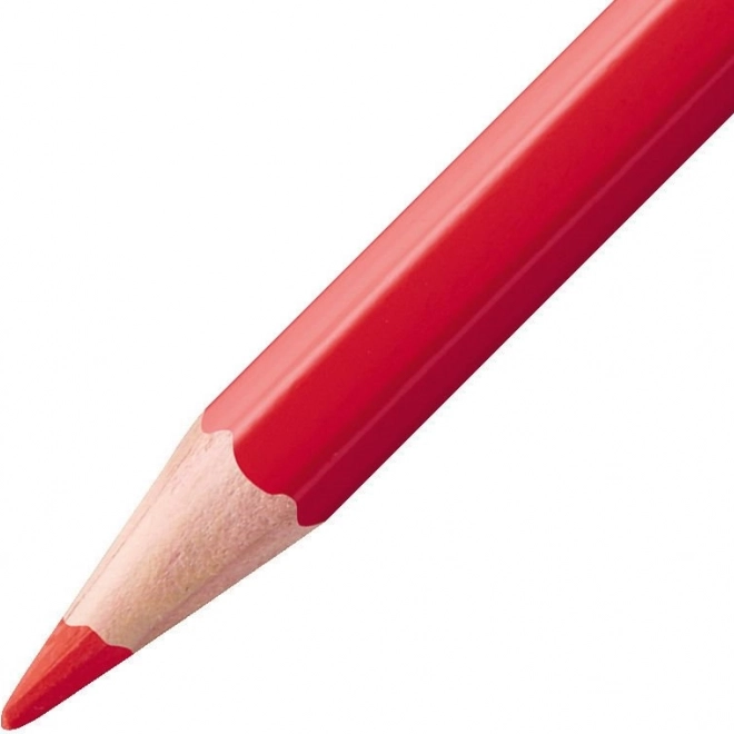 Ensemble de crayons aquarellables Stabilo Aquacolor 12 pcs