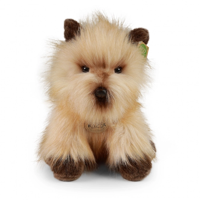 Cairn Terrier en peluche 30 cm ÉCORESPONSABLE