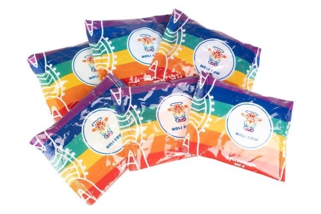 Poudre Holi colorée - 6 x 100 g