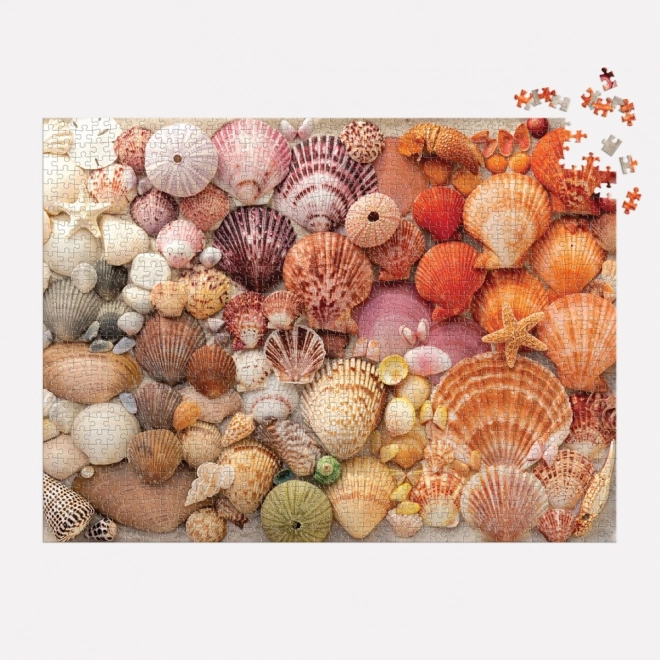 Puzzle Coquillages Éclatants 1000 pièces