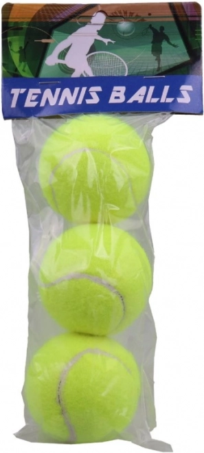 Ballons de tennis 3 pcs
