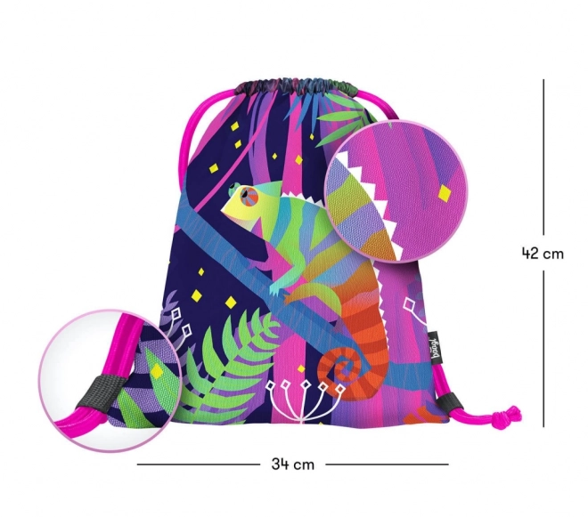 Sac pour chaussures BAAGL Chameleon