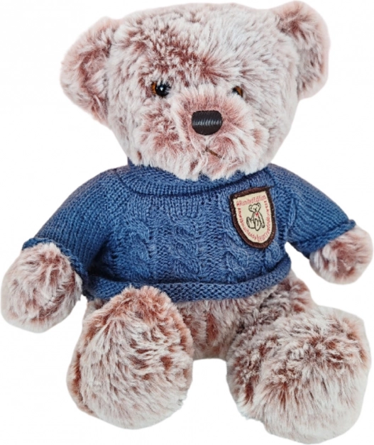 Ourson en peluche avec pull bleu 21cm