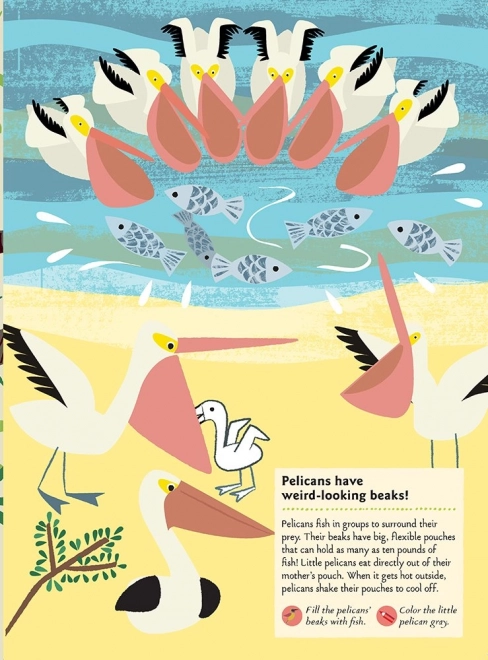 Chronicle Books Livre d'activités autocollants ma nature Oiseaux du monde