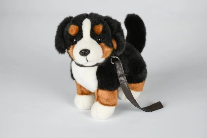 Chien de montagne Bernois en peluche avec laisse 26 cm
