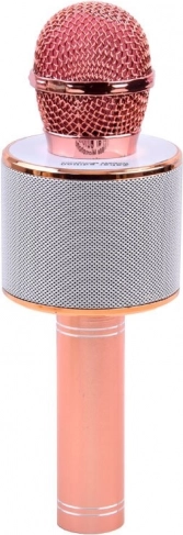 Microphone karaoké Bluetooth sans fil avec haut-parleur intégré – Rose clair