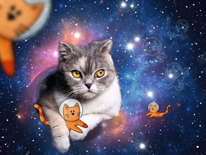 Puzzle Chat dans l’espace 1500 pièces