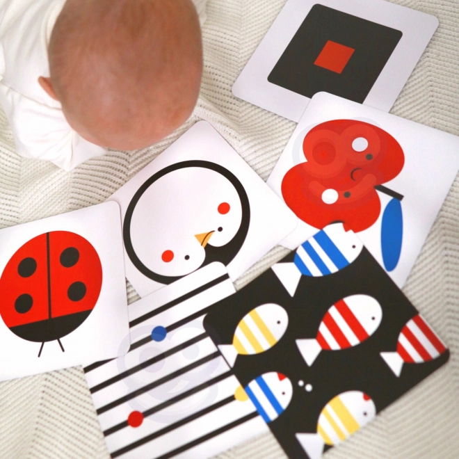Boîte Montessori XXL éducative 7 en 1 TOOKY TOY