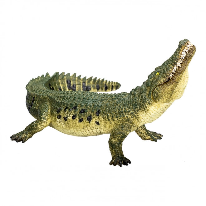 Crocodile Réaliste avec Mâchoire Articulée