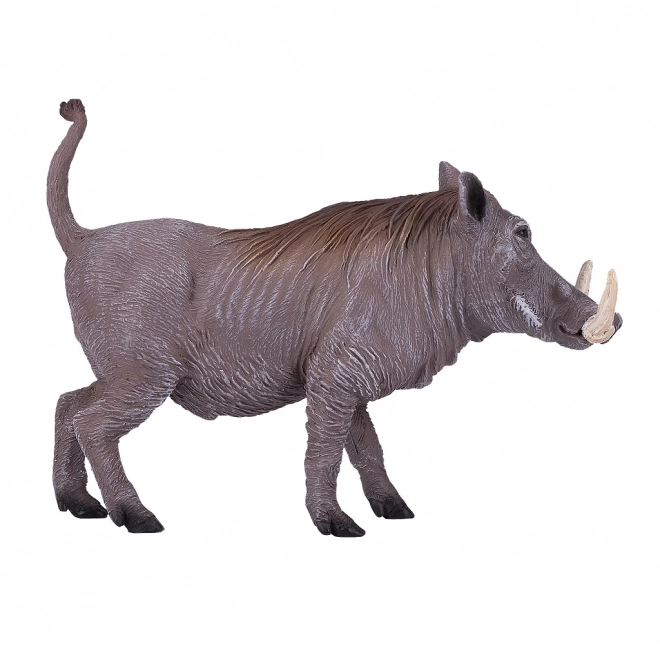 Mojo Cochon de savane