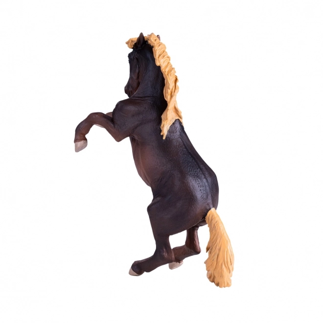 Mojo Étalon Brumby