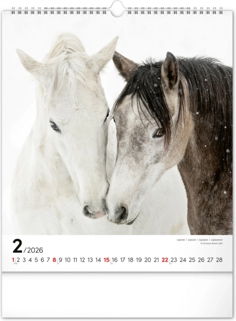 Calendrier mural Chevaux 2026