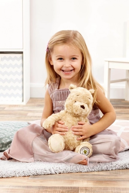 Nounours Peluche Rainbow Winnie l'Ourson de la Forêt des Cent Acres