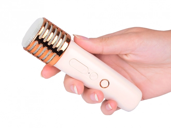 Microphone avec haut-parleur sans fil et Bluetooth
