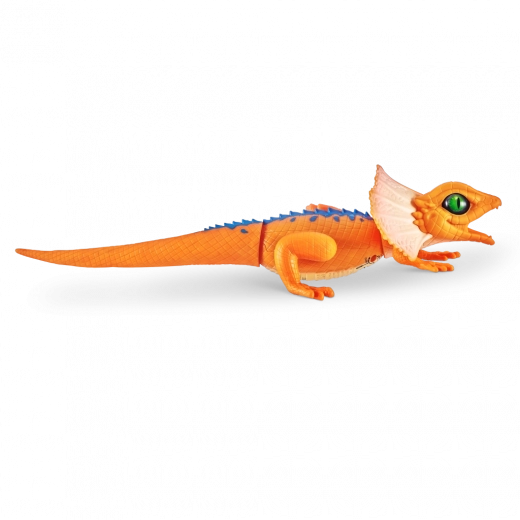 Apparence et couleurs réalistes