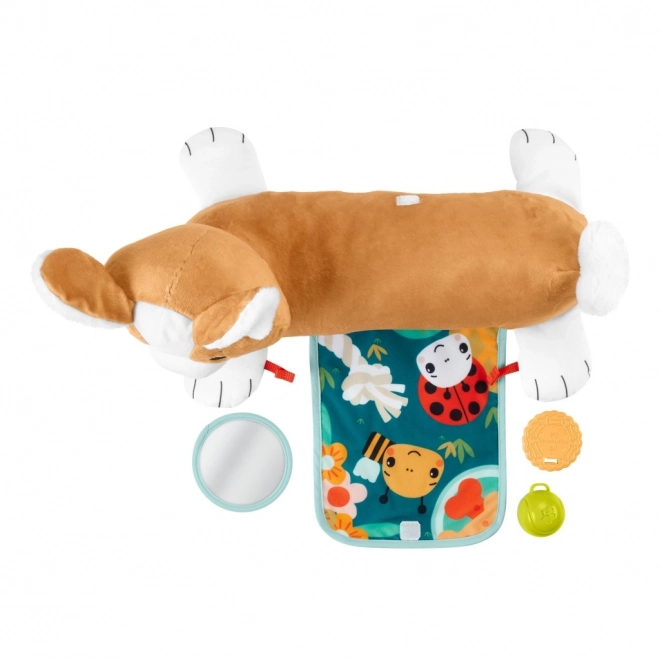 Coussin ventre pour bébés Fisher-Price