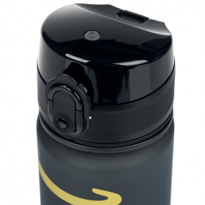 BAAGL Bouteille Tritan pour Boire Logo Or