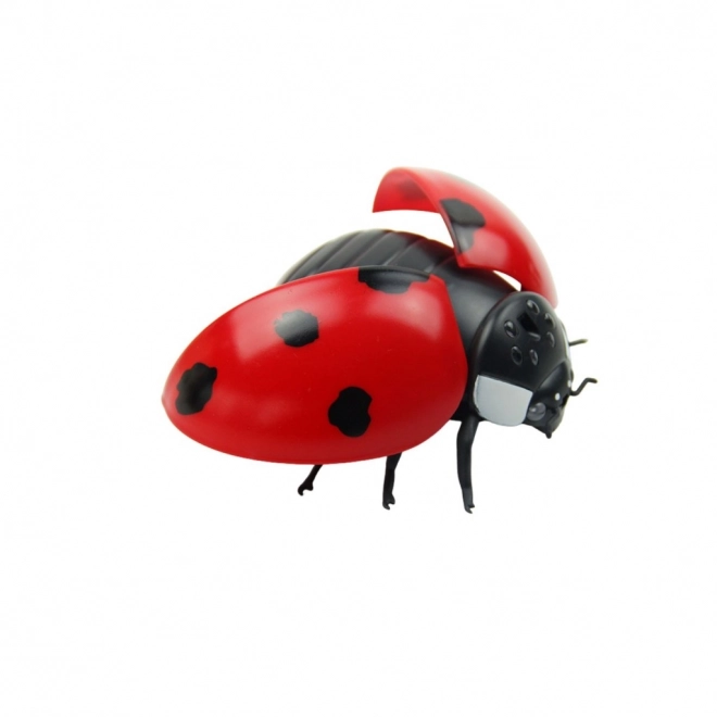 Coccinelle RC télécommandée