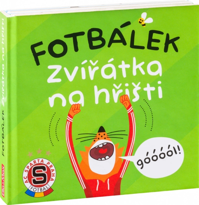 Football animaux sur le terrain