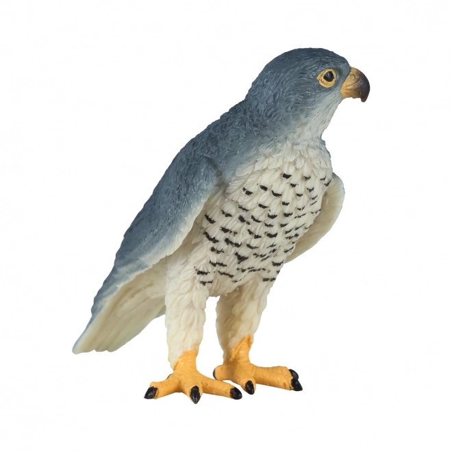 Mojo Faucon pèlerin
