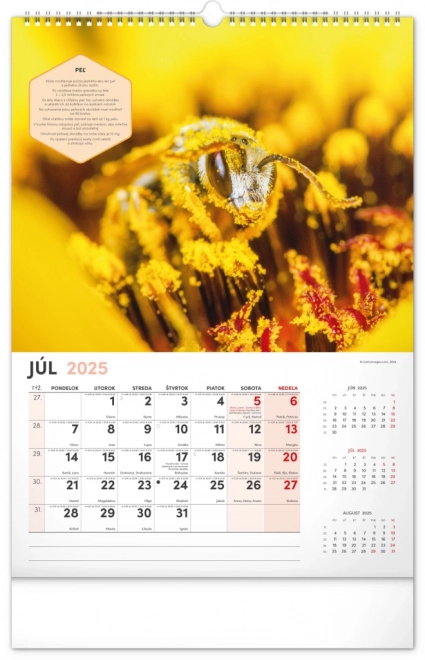 Calendrier mural NOTIQUE Apiculture 2025, 33 x 46 cm