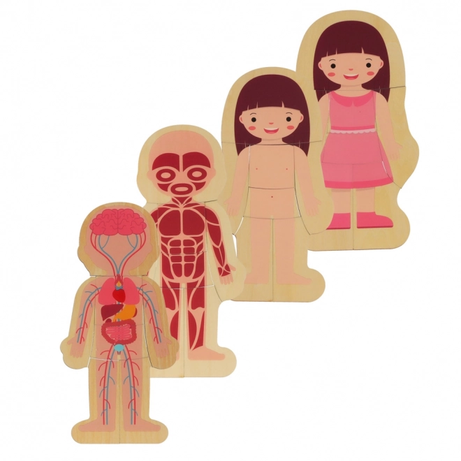Puzzle en bois Montessori parties du corps - fille