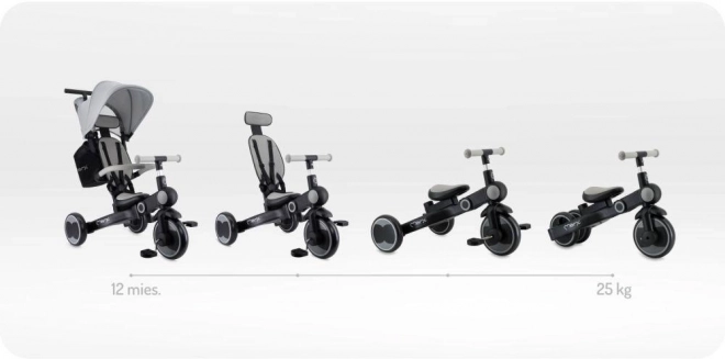 Tricycle pour enfants MoMi Solivia gris