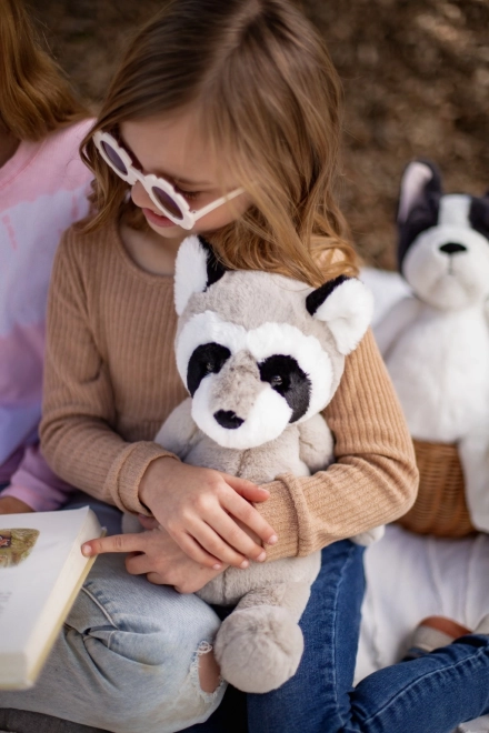 Raton laveur en peluche mignon