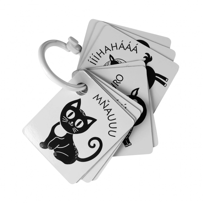 Cartes contrastées pour enfants noir et blanc