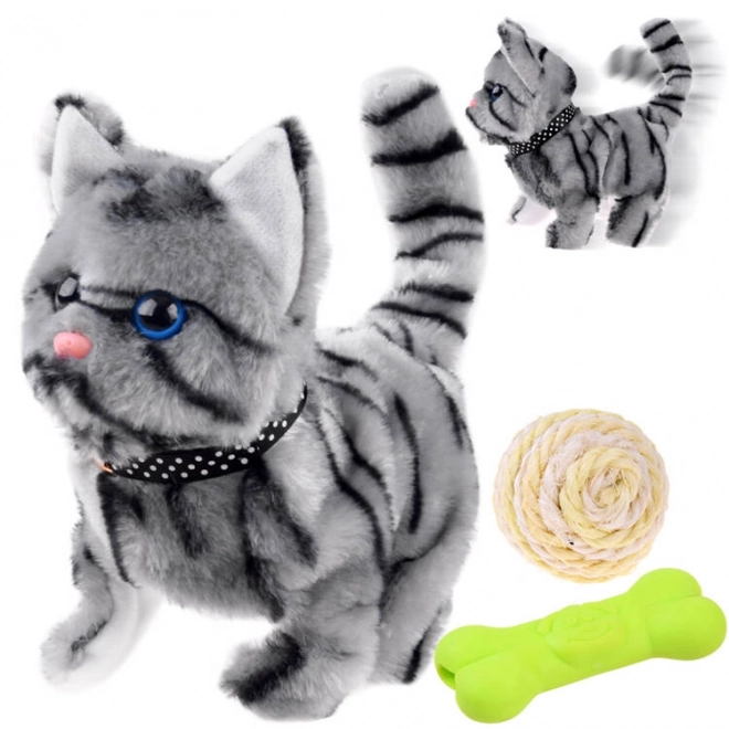 Chat interactif gris pour jouer