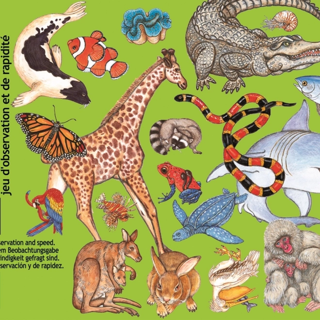 Jeu de cartes Zanimatch