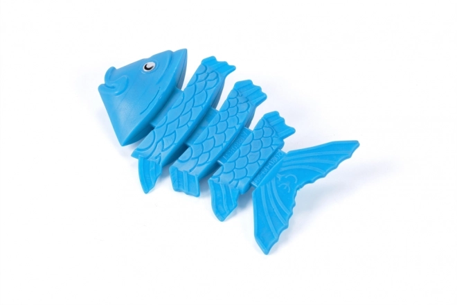 Poissons plongeurs amusants