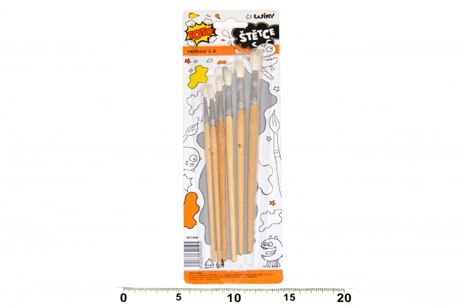 Ensemble de pinceaux 1-6