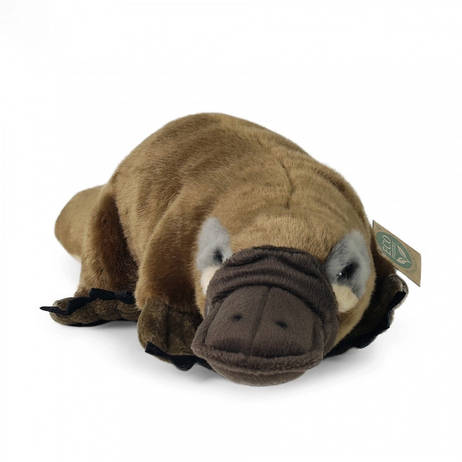 Ornithorynque en peluche 30 cm ÉCOLOGIQUE