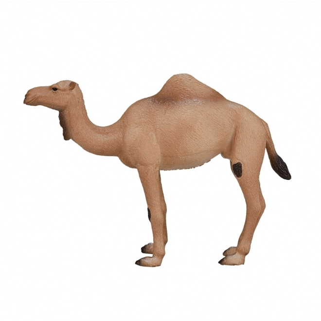 Mojo Animal Planet Dromadaire
