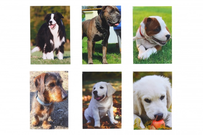 Petit carnet Chien 40 feuilles