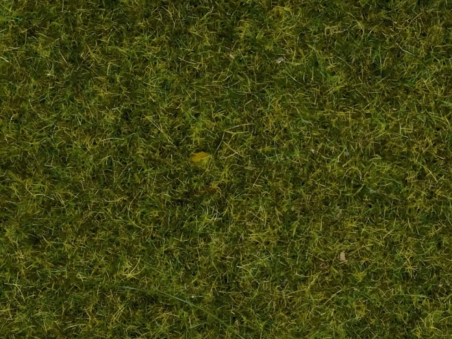 Herbe statique de modélisme pour prairies réalistes