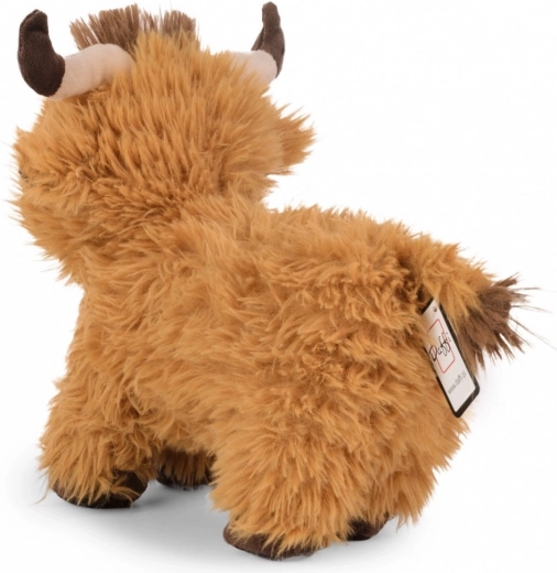 Taille idéale 35 cm