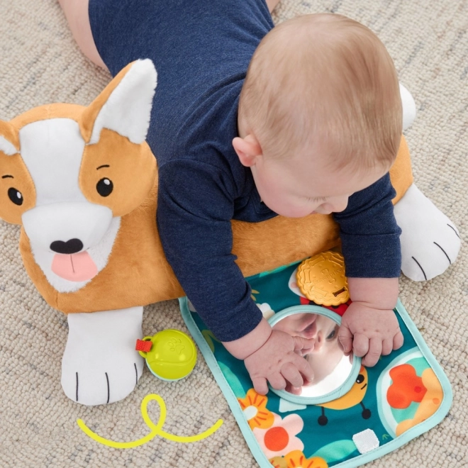 Coussin ventre pour bébés Fisher-Price