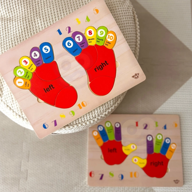 Puzzle en bois éducatif TOOKY TOY - Apprendre les chiffres et les couleurs