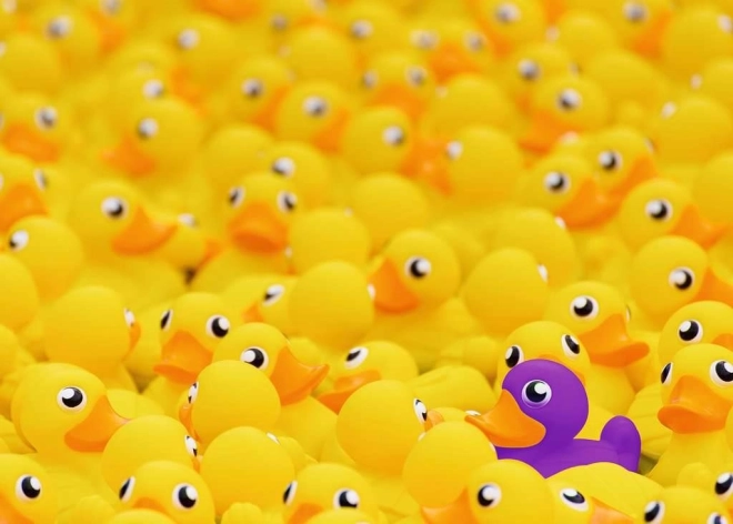 Puzzle Ravensburger Canetons 1000 pièces