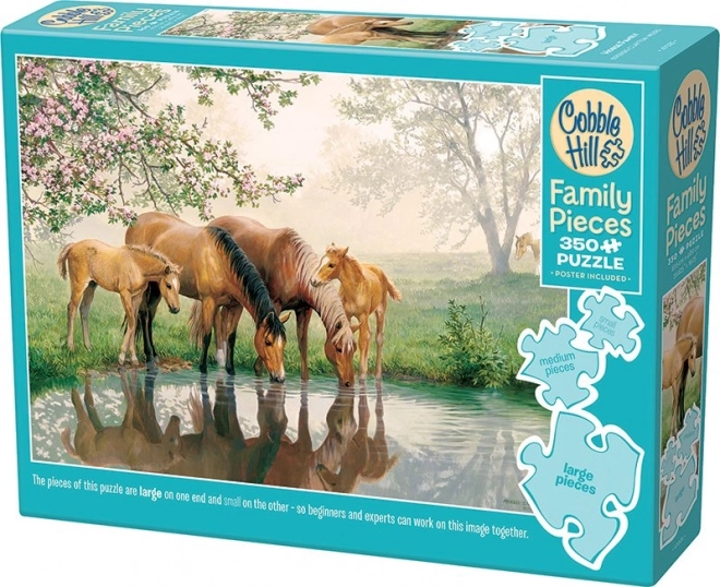 COBBLE HILL Puzzle familial Chevaux 350 pièces